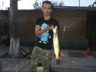 Neajlov